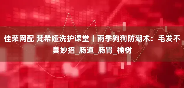 佳荣网配 梵希娅洗护课堂丨雨季狗狗防潮术：毛发不臭妙招_肠道_肠胃_榆树