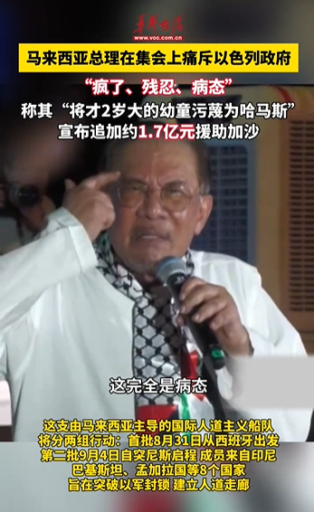 安泰证券 马来西亚总理痛斥以色列政府 称以色列政府残忍病态