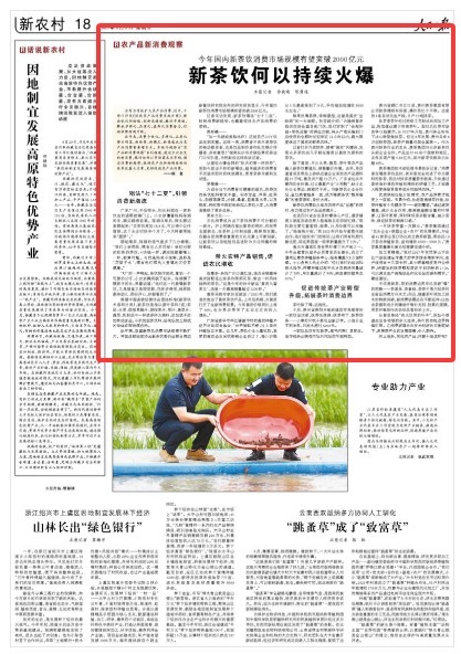 涨8配资 新茶饮何以持续火爆(农产品新消费观察)