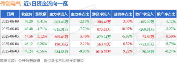 闻喜 股票行情快报：伟创电气（688698）6月9日主力资金净卖出203.46万元